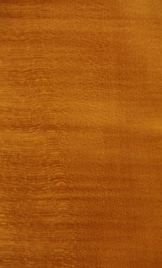 arka plan bulanıklık illüstrasyon kahverengi