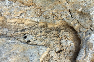 kireç taşı arka plan