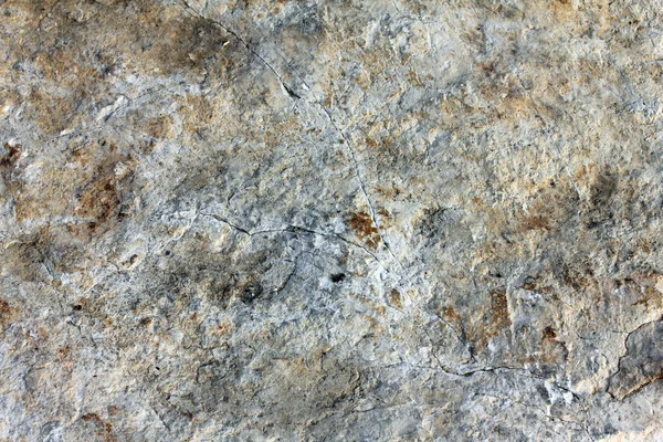 石灰岩の背景 — ストック写真