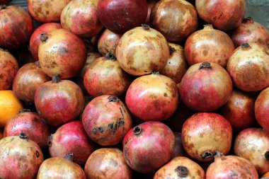 Pomegranade
