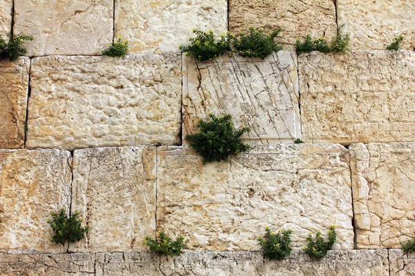 Nyugati fal, Jeruzsálem, Izrael — Stock Fotó