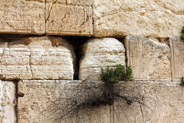 Western Wall, Jerusalem , Israel — Stock Photo, Image