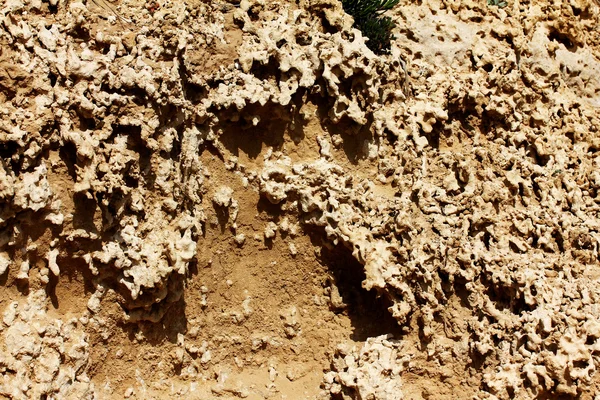 Superficie de la tierra después de la lluvia — Foto de Stock