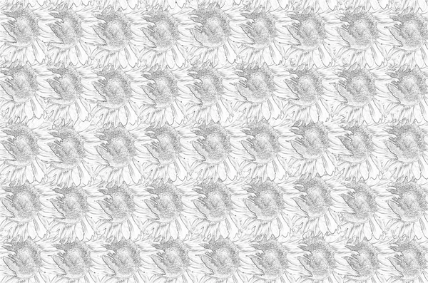 Абстрактный фон подсолнухов — стоковое фото