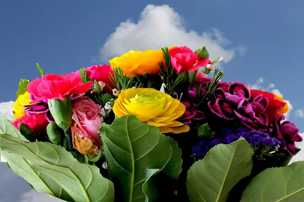 Bouquet of various flowers — Stock Photo, Image