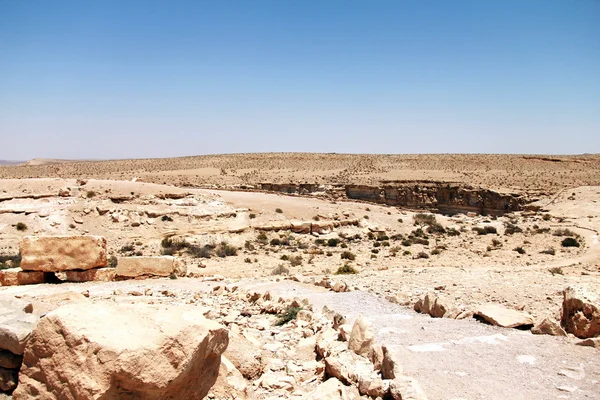 Ein avdat canyon in der negev wüste, israel. — Stockfoto