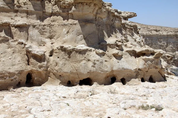 Ein avdat φαράγγι στην έρημο negev, Ισραήλ. — Φωτογραφία Αρχείου