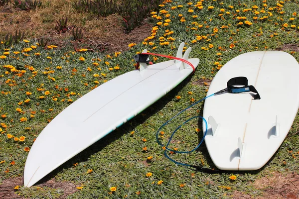 Planches de surf sur l'herbe — Photo