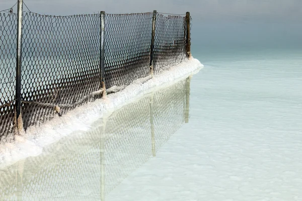 Mar Muerto. Valla de malla metálica — Foto de Stock