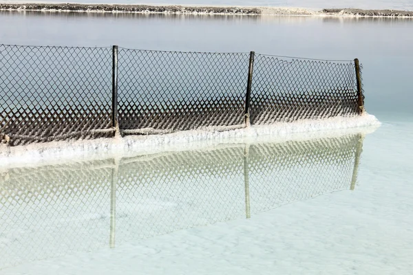 Dead sea. Metal mesh fence — Stock Photo, Image