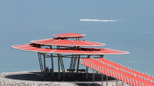 Olu deniz. — Stok fotoğraf