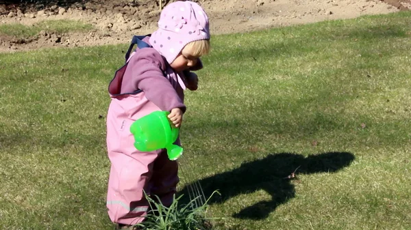 De planten water geven — Stockfoto