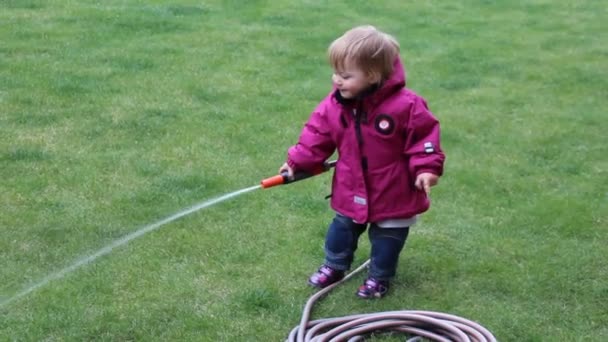 Klein meisje drenken gras gazon in de tuin met een slang — Stockvideo