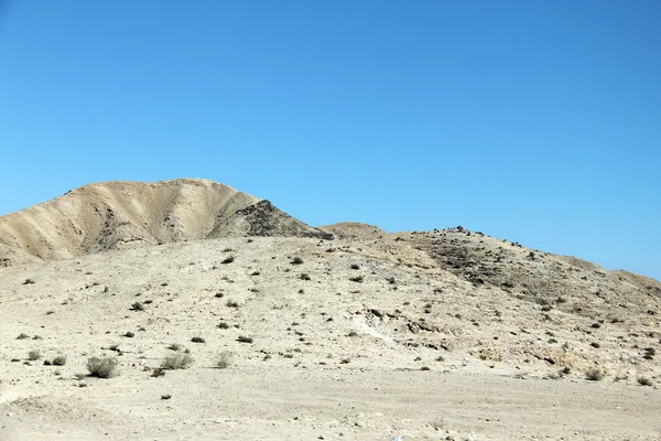 Desert — Stock Photo, Image