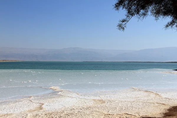 Döda havet — Stockfoto