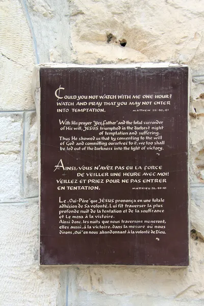 Płyta w pobliżu stary kolumna w ogrodzie Getsemani — Zdjęcie stockowe