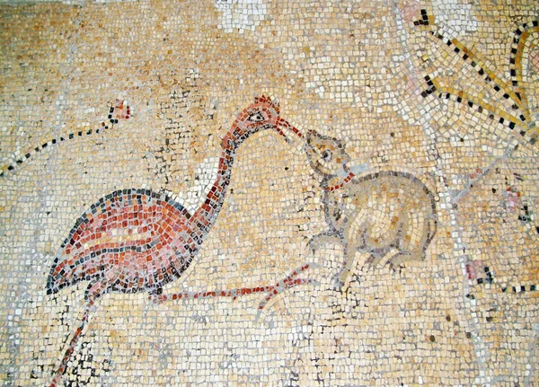 Antiguo mosaico Tabgha, Israel —  Fotos de Stock