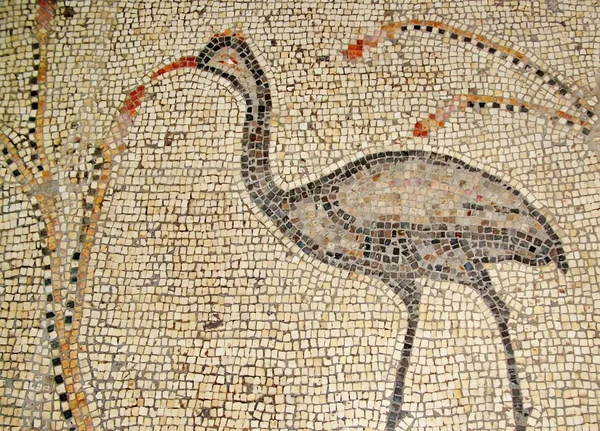 Ancienne mosaïque Tabgha, Israël — Photo