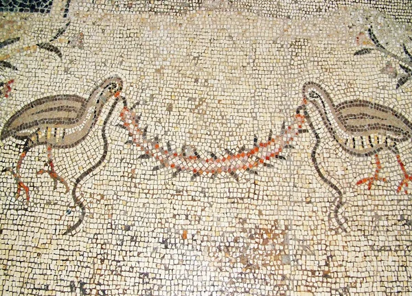 Antik mozaik tabgha, İsrail — Stok fotoğraf