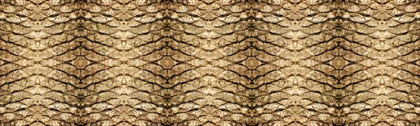 Palm tree bark texture background — Stock Photo, Image