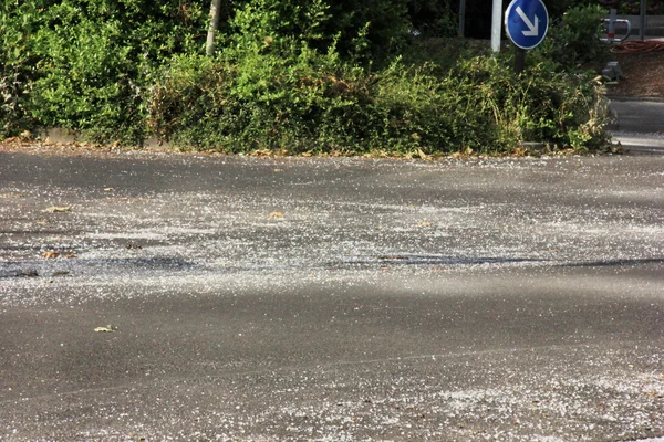 Broken glass on the asphalt road after Hurricane — Stock Photo, Image
