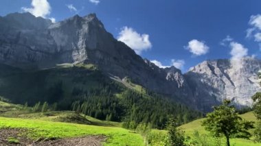 Eng Alm, Tirol 'deki Karwendel Dağları. Avusturya. 4K