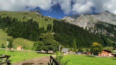 Eng Alm, Tirol 'deki Karwendel Dağları. Avusturya. 4K