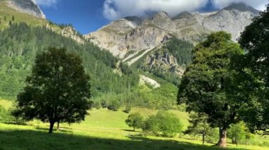 Eng Alm, Tirol 'deki Karwendel Dağları. Avusturya. 4K