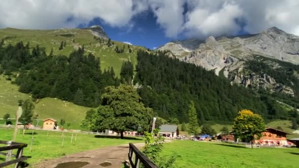 Eng Alm Karwendelbergen Tyrolen Österrike — Stockvideo