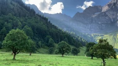 Eng Alm, Tirol 'deki Karwendel Dağları. Avusturya. 4K