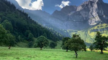 Eng Alm, Tirol 'deki Karwendel Dağları. Avusturya. 4K