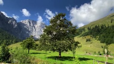Eng Alm, Tirol 'deki Karwendel Dağları. Avusturya. 4K
