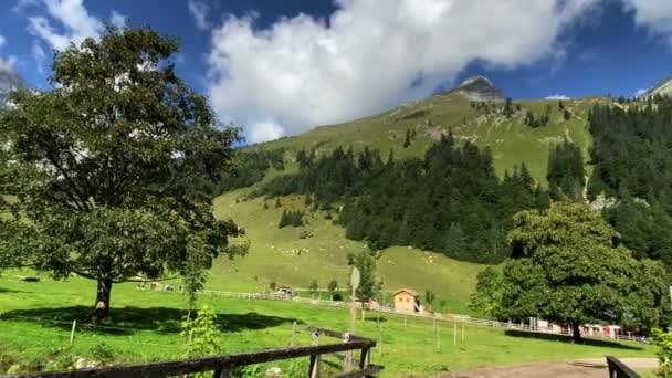 Eng Alm Pegunungan Karwendel Tirol Austria — Stok Video