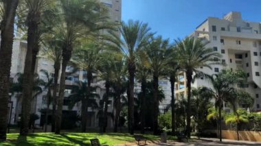 Tel Aviv, İsrail. Yeni Ramat Aviv. 21. yüzyılın güney mimarisi. 4K