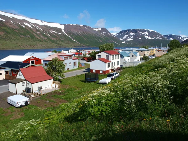 Landschap van IJsland — Stockfoto