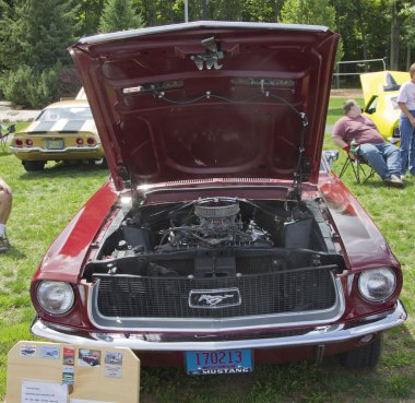 1968 ford mustang motoru