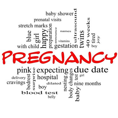 Pregnancy Word Cloud Concept in red & black clipart