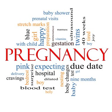 Pregnancy Word Cloud Concept clipart