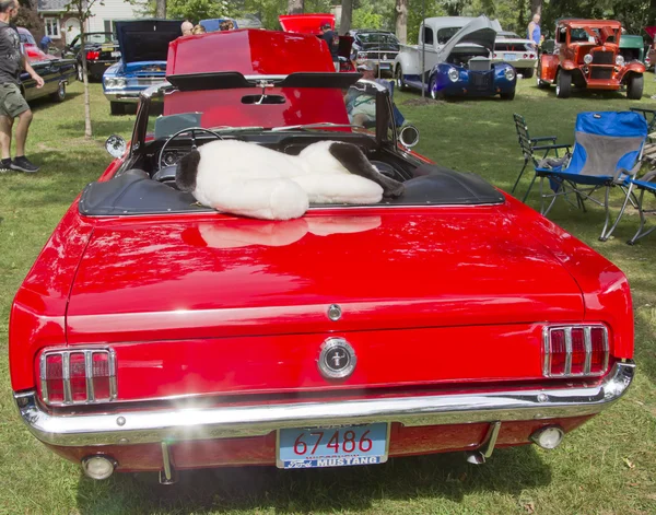 Bakifrån av en 1960-talet röd Ford Mustang — Stockfoto