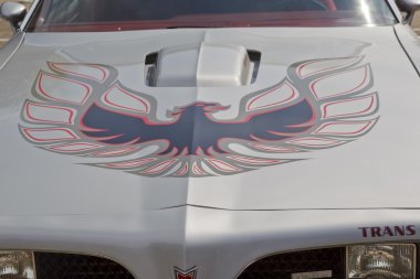 Gümüş pontiac trans am firebird hood