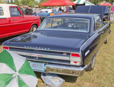 Vintage mavi chevy chevelle arka görünüm