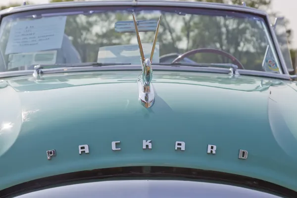 1951 Packard Cabeza convertible a la vista —  Fotos de Stock