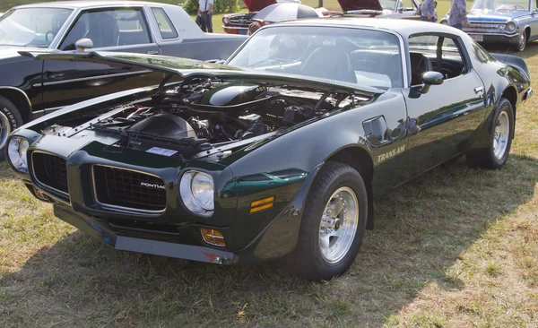 1973 Pontiac Trans Am Firebird — Stockfoto