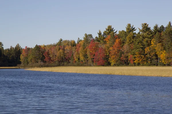 Fall kleuren op wisconsin (rivier) — Stockfoto