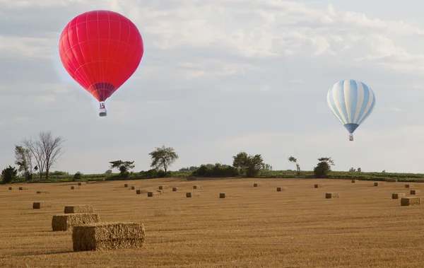 Ballonger över färsk hö fält — Stockfoto