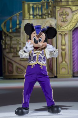 Mickey kostüm