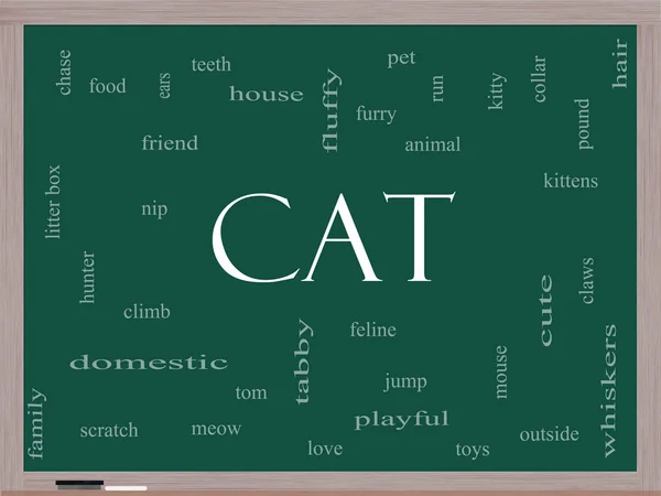 Concetto Cat Word Cloud su una lavagna — Foto Stock