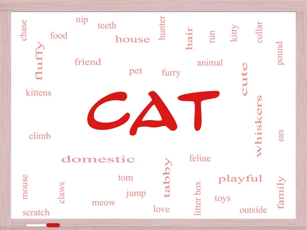 Concetto Cat Word Cloud su una scheda di cancellazione a secco — Foto Stock