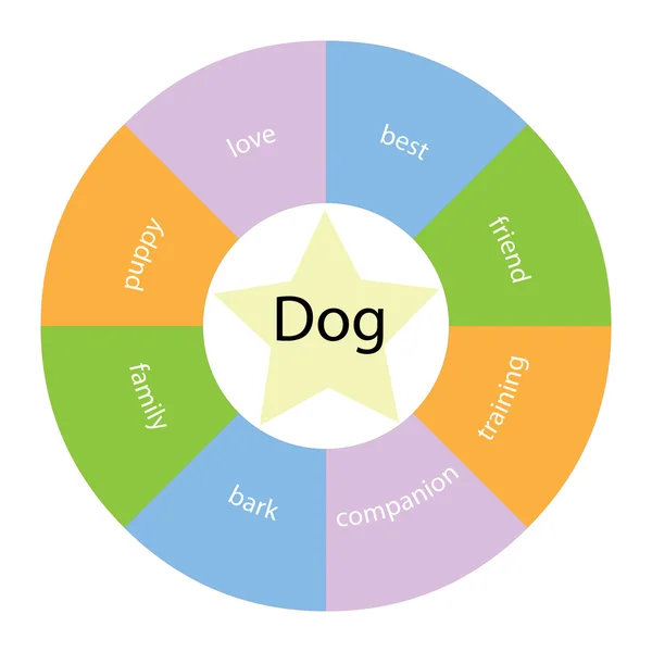 Pies okrągłe koncepcja z kolorów i gwiazda — Zdjęcie stockowe