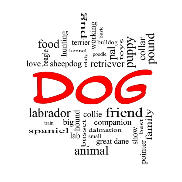 Dog Word Cloud Concept in red caps — Stock Photo, Image